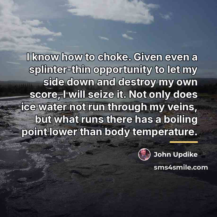 “I know how to choke. Given even a splinter-thin opportunity…” quote by John Updike
