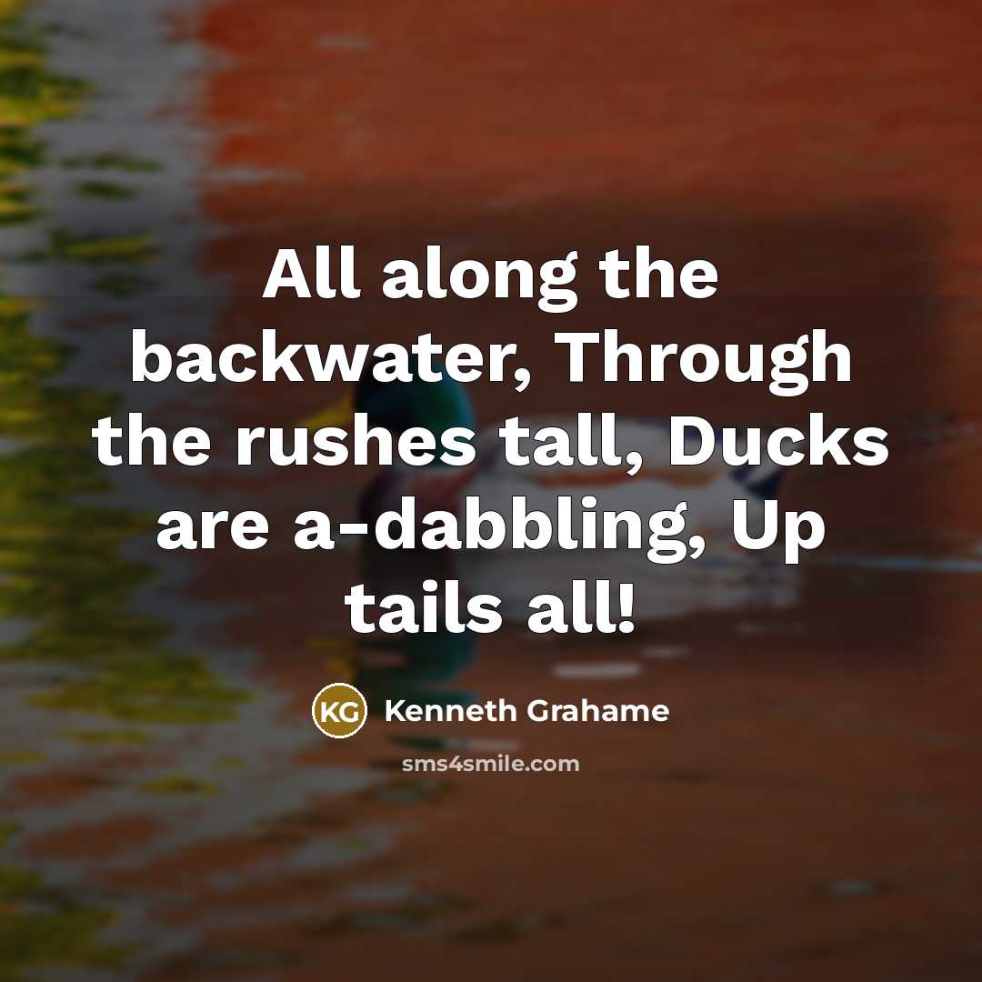 “All along the backwater, Through the rushes tall, Ducks are…” quote by Kenneth Grahame