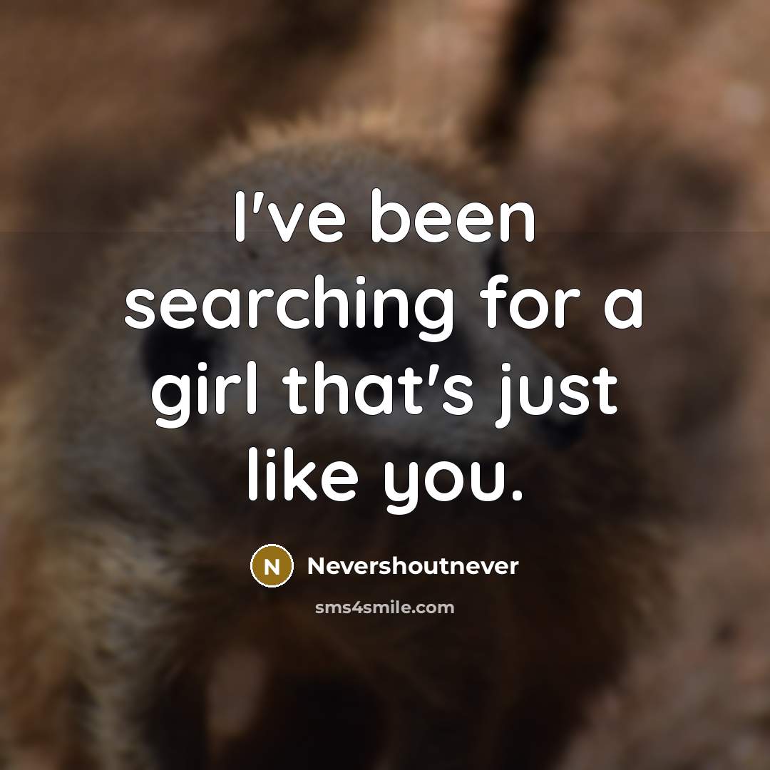 “I've been searching for a girl that's just like you.” quote by Nevershoutnever