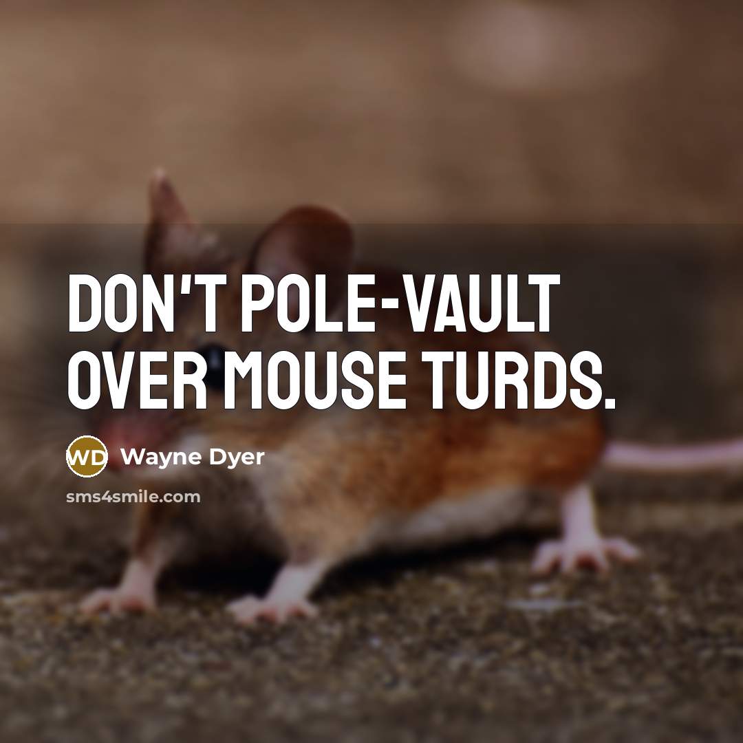 “Don't pole-vault over mouse turds.…” quote by Wayne Dyer