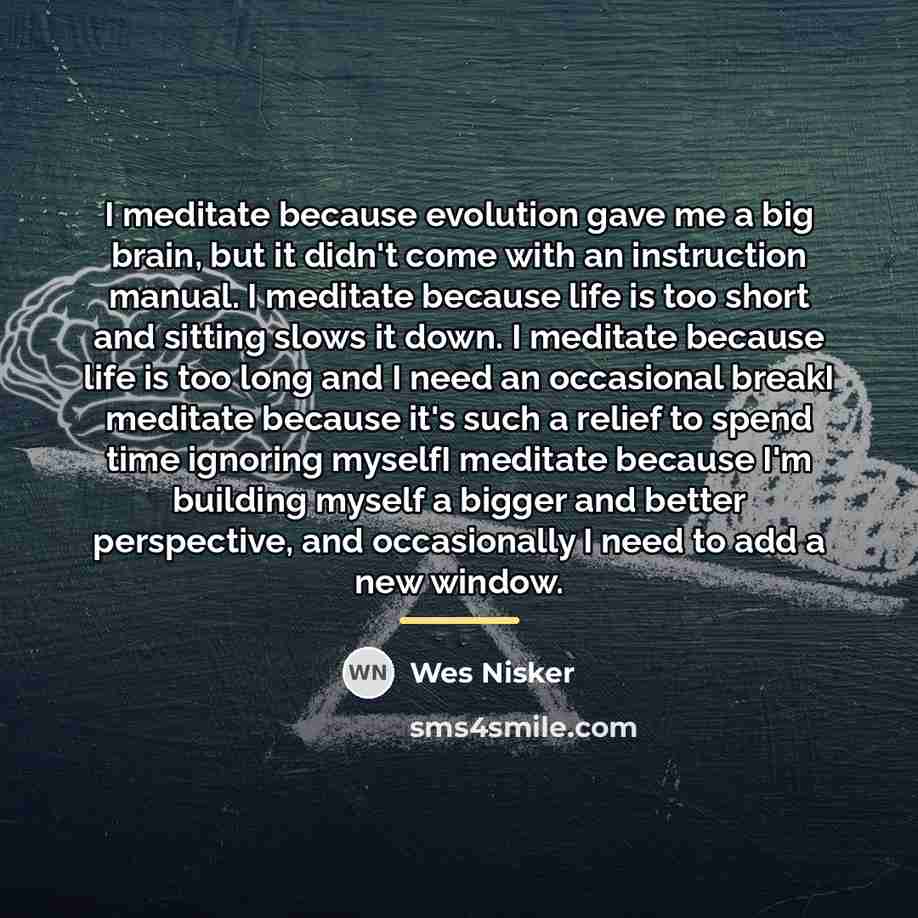 “I meditate because evolution gave me a big brain, but…” quote by Wes Nisker