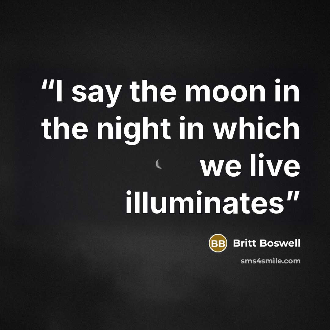 “I say the moon in the night in which we live illuminates” quote by Britt Boswell