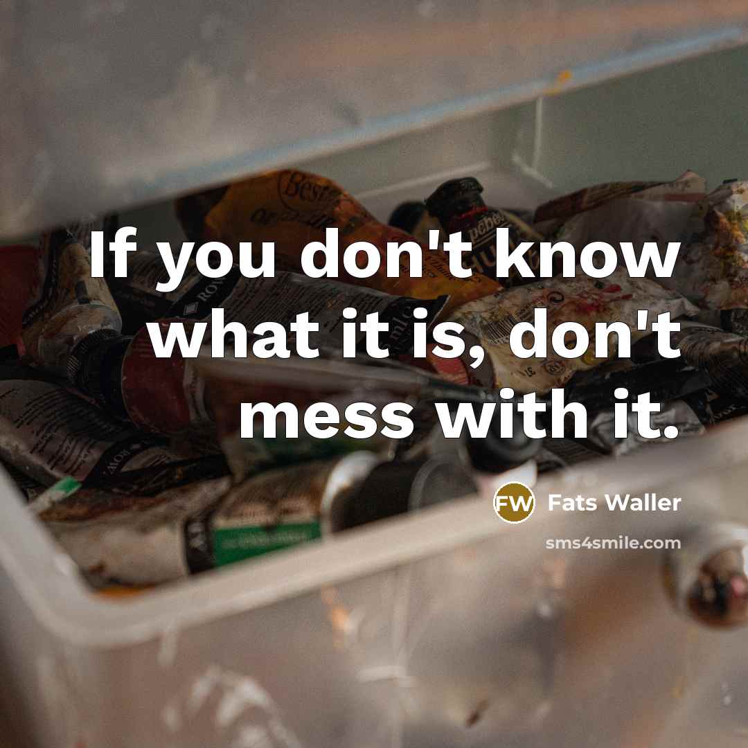 “If you don't know what it is, don't mess with…” quote by Fats Waller