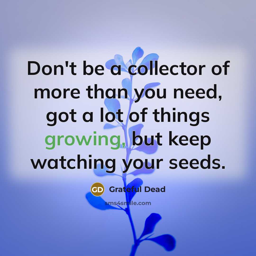 “Don't be a collector of more than you need, got a lot of things growing, but keep watching your seeds.” quote by Grateful Dead