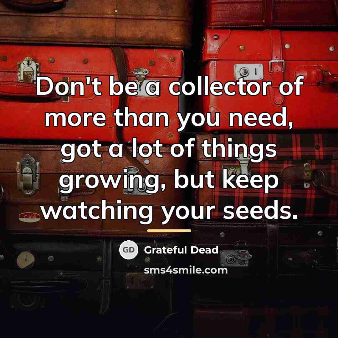 “Don't be a collector of more than you need, got…” quote by Grateful Dead