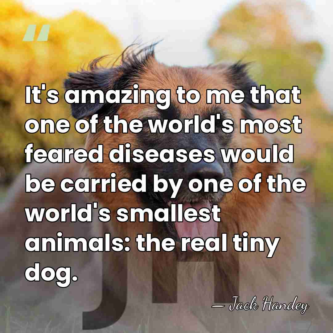 It's amazing to me that one of the world's most feared diseases&hellip; - Jack Handey