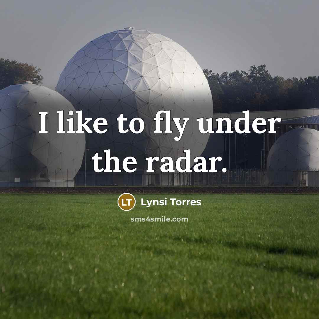 “I like to fly under the radar.…” quote by Lynsi Torres