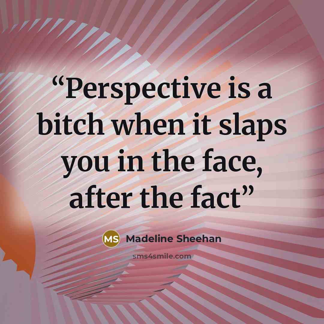 “Perspective is a bitch when it slaps you in the face, after the fact” quote by Madeline Sheehan