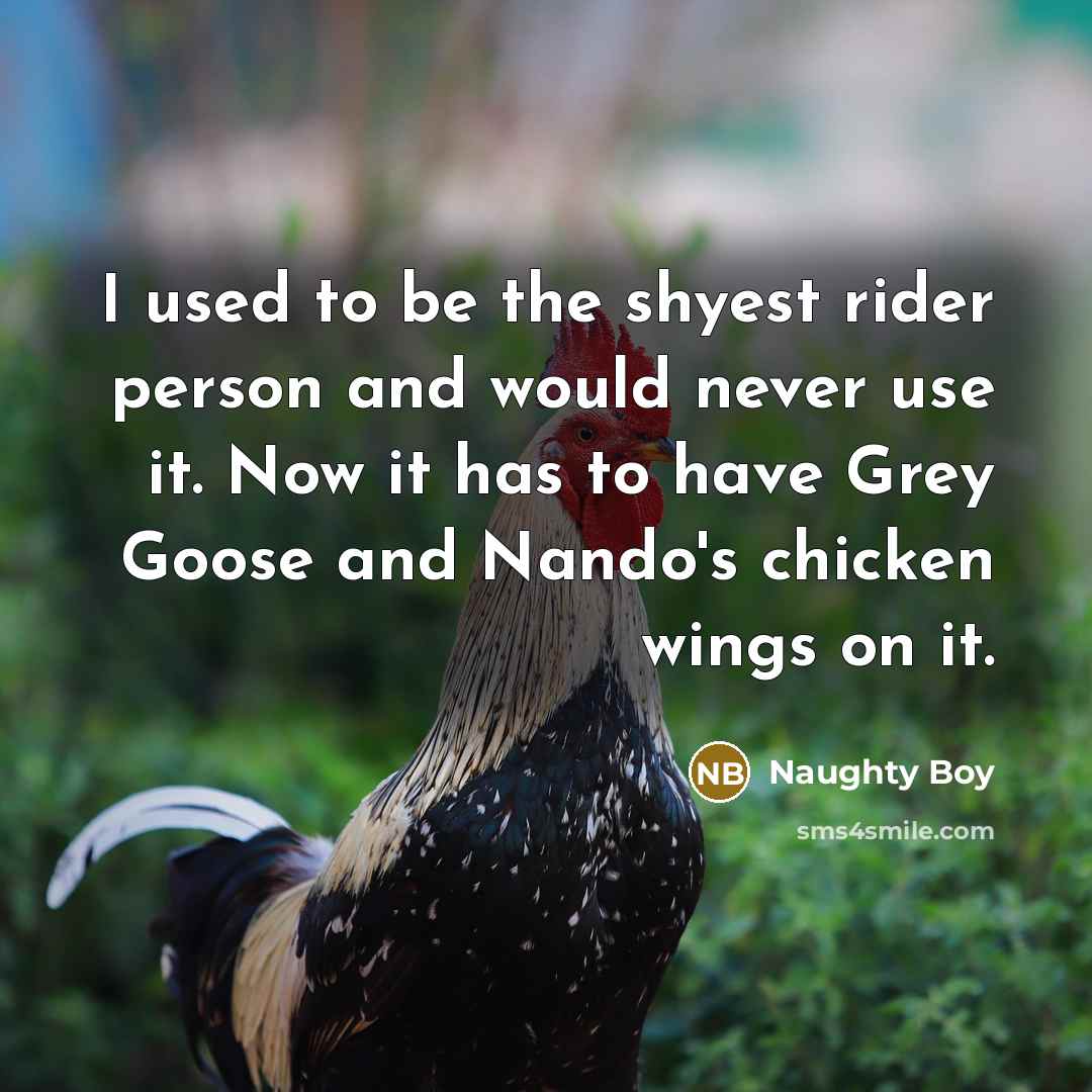 “I used to be the shyest rider person and would…” quote by Naughty Boy