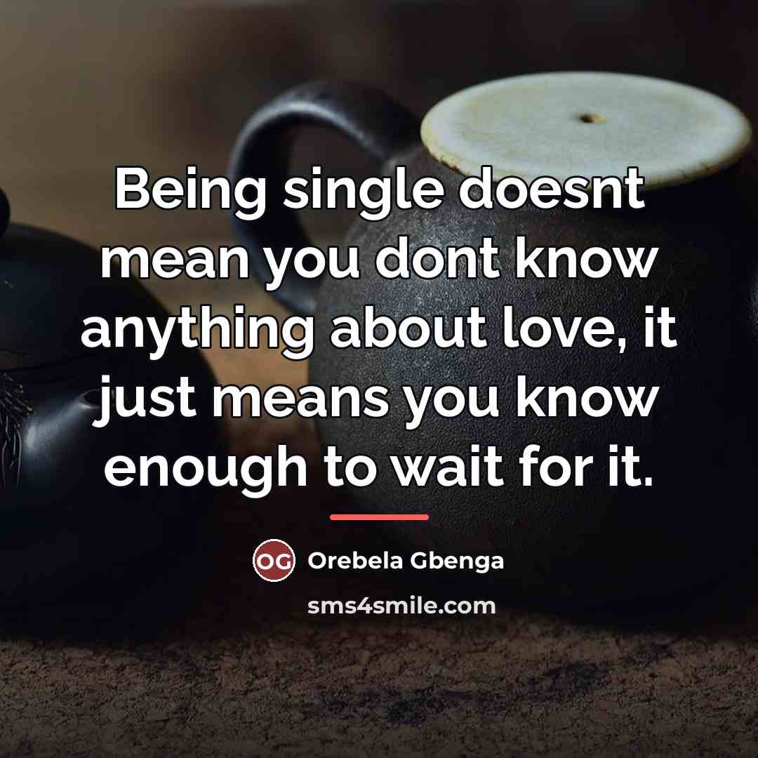 “Being single doesnt mean you dont know anything about love,…” quote by Orebela Gbenga