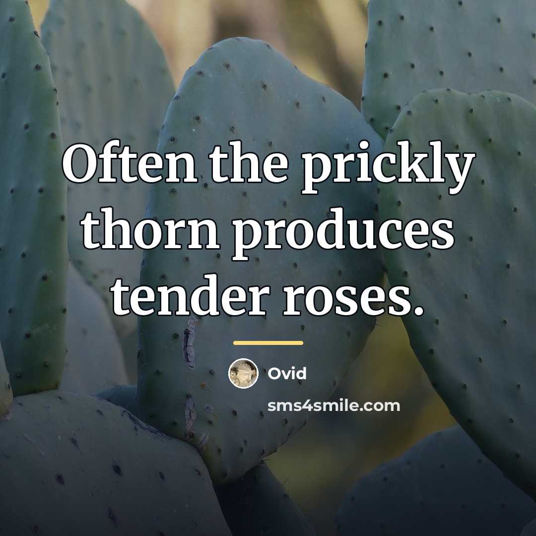 “Often the prickly thorn produces tender roses.…” quote by Ovid