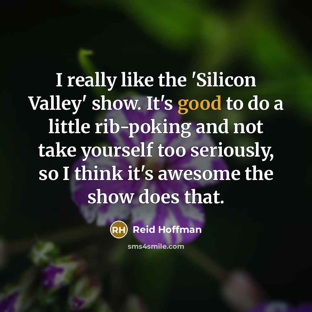 “I really like the 'Silicon Valley' show. It's good to…” quote by Reid Hoffman