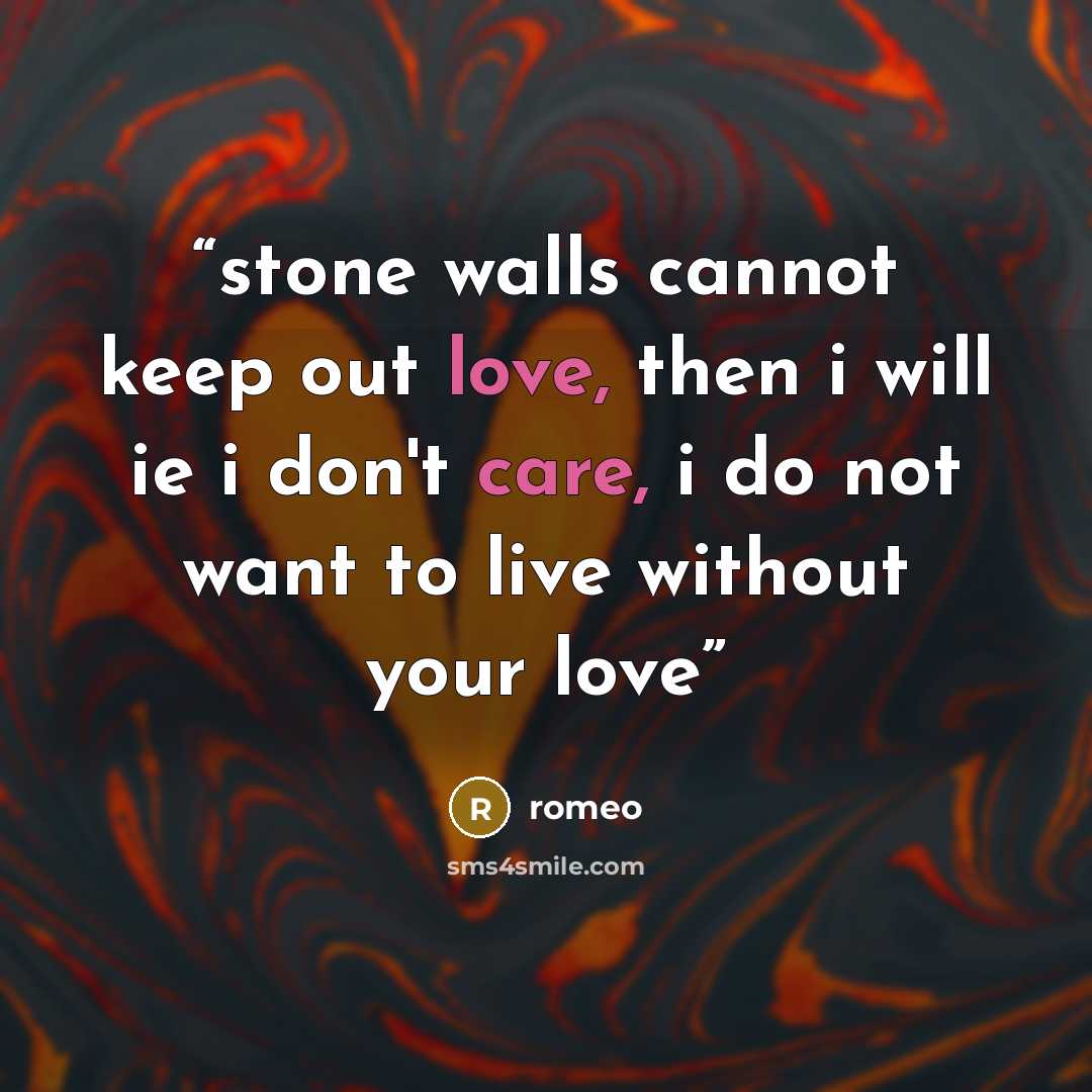 “stone walls cannot keep out love, then i will ie i don't care, i do not want to live without your love” quote by romeo