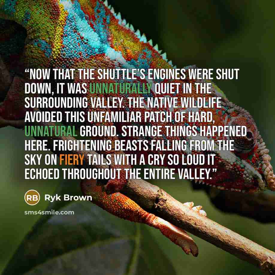 “Now that the shuttle’s engines were shut down, it was unnaturally quiet in the surrounding valley. The native wildlife avoided this unfamiliar patch of hard, unnatural ground. Strange things happened here. Frightening beasts falling from the sky on fiery tails with a cry so loud it echoed…” quote by Ryk Brown