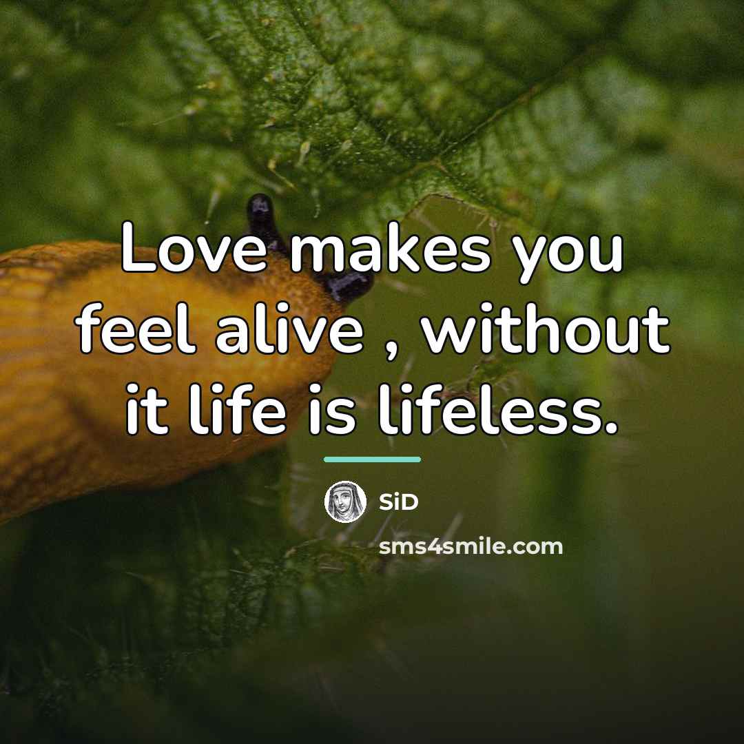 “Love makes you feel alive , without it life is…” quote by Sid