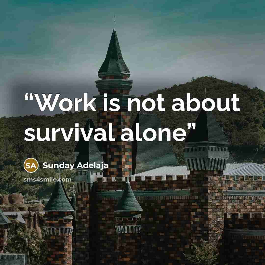 “Work is not about survival alone” quote by Sunday Adelaja