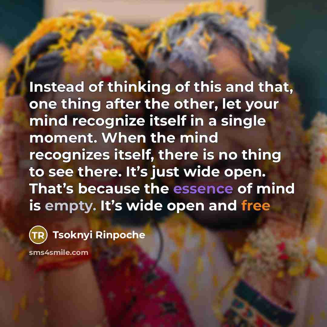 “Instead of thinking of this and that, one thing after…” quote by Tsoknyi Rinpoche