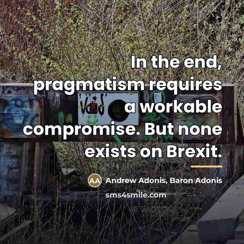 “In the end, pragmatism requires a workable compromise. But none…” quote by Andrew Adonis, Baron Adonis