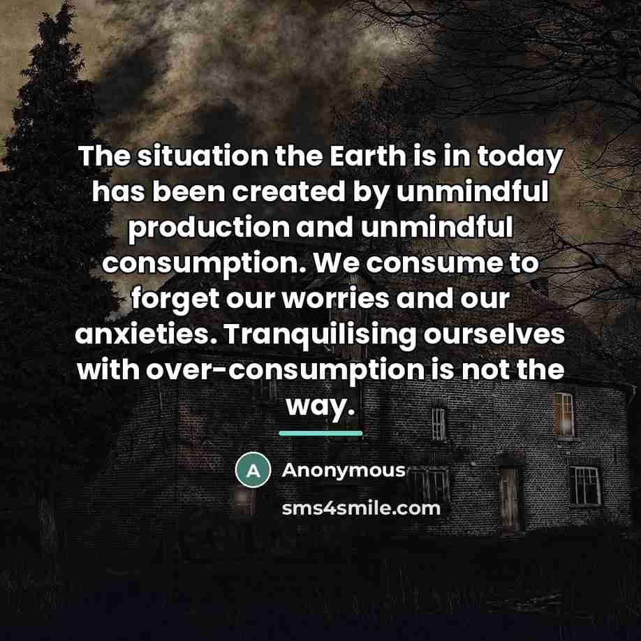 “The situation the Earth is in today has been created…” quote by Anonymous