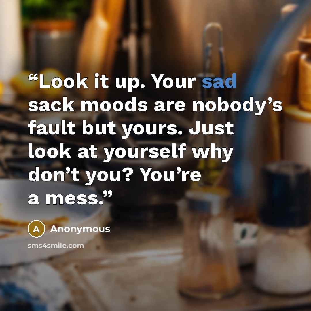 “Look it up. Your sad sack moods are nobody’s fault but yours. Just look at yourself why don’t you? You’re a mess.” quote by Anonymous