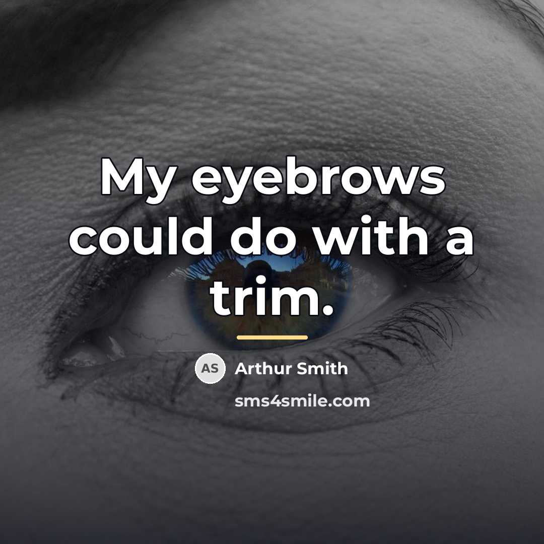 “My eyebrows could do with a trim.…” quote by Arthur Smith
