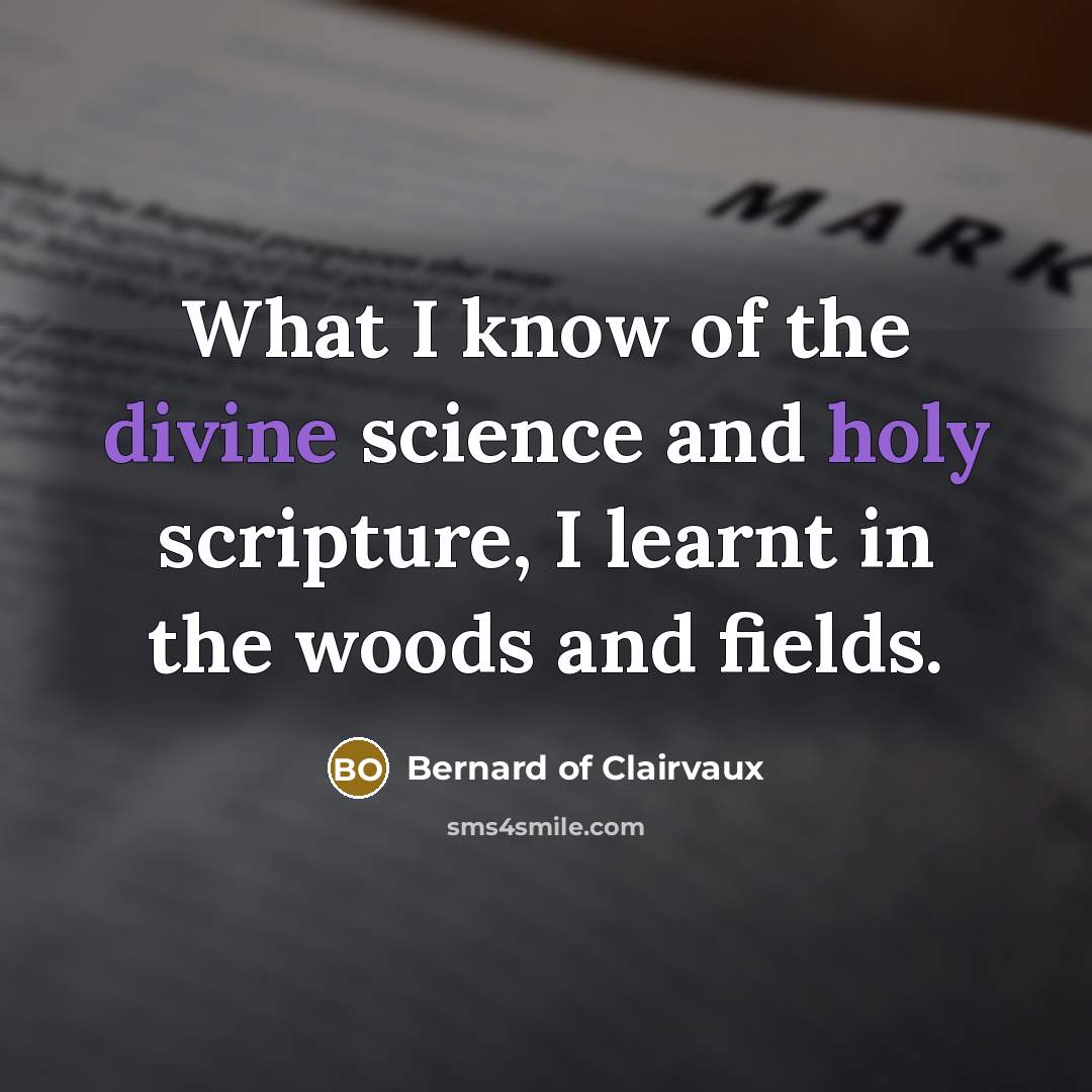 “What I know of the divine science and holy scripture,…” quote by Bernard of Clairvaux