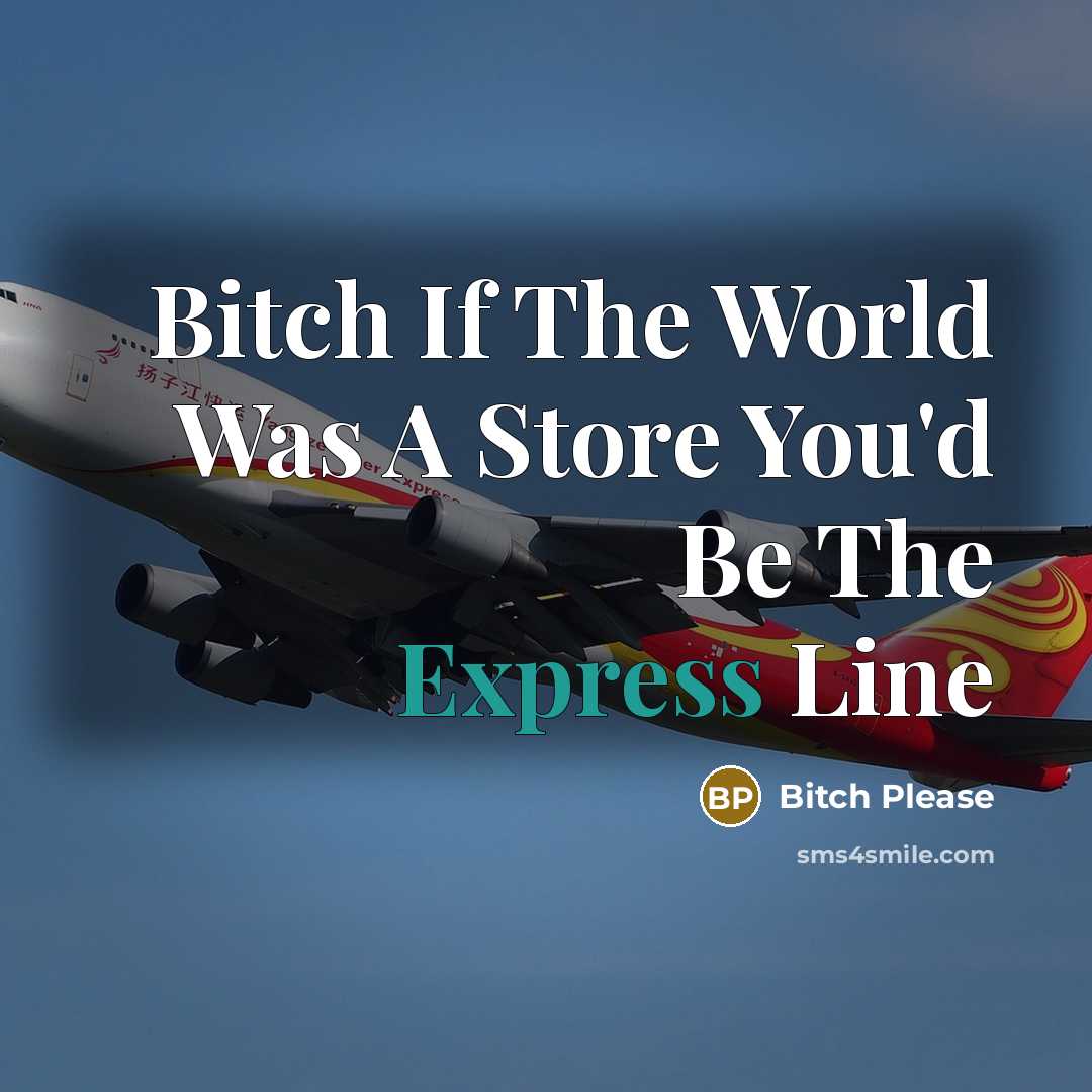 “Bitch If The World Was A Store You'd Be The Express Line” quote by Bitch Please