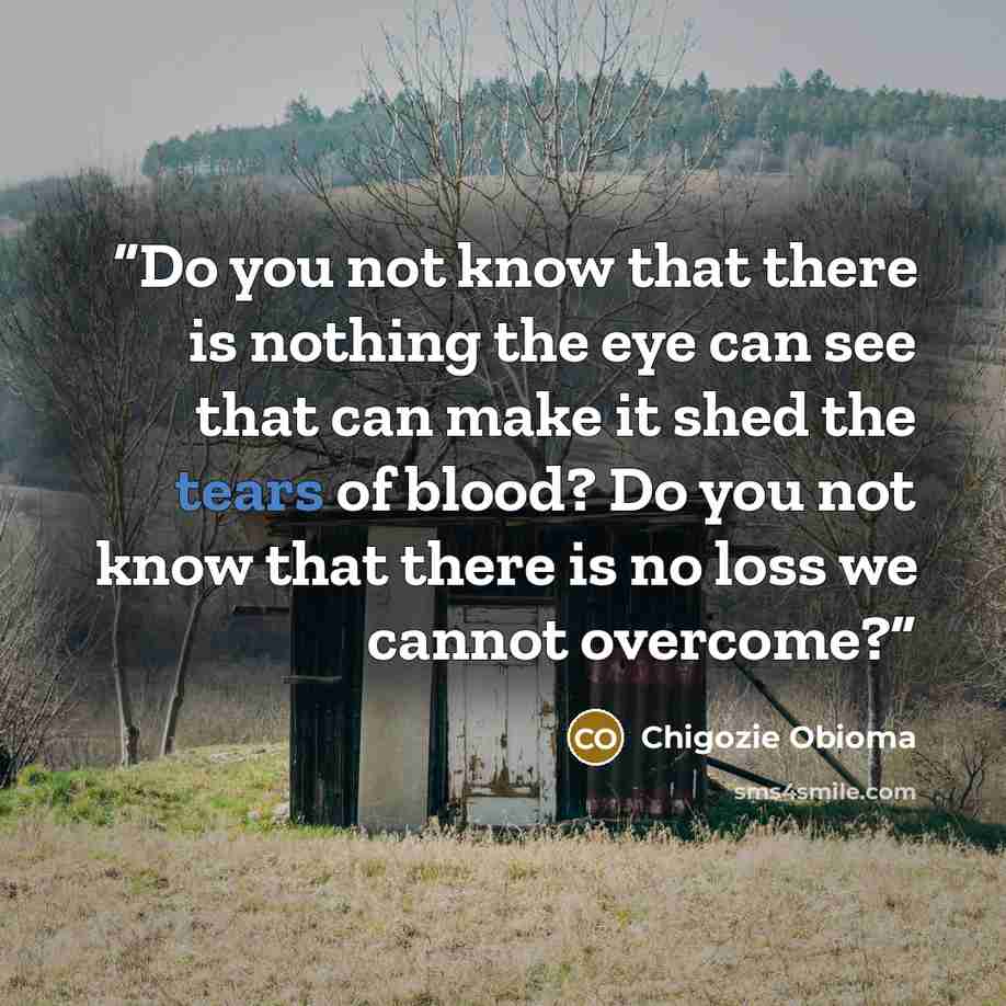 “Do you not know that there is nothing the eye can see that can make it shed the tears of blood? Do you not know that there is no loss we cannot overcome?” quote by Chigozie Obioma