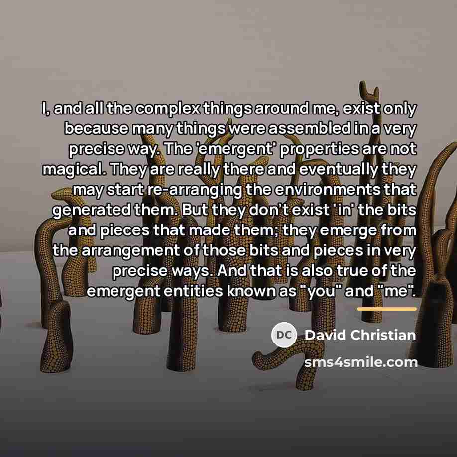 “I, and all the complex things around me, exist only…” quote by David Christian