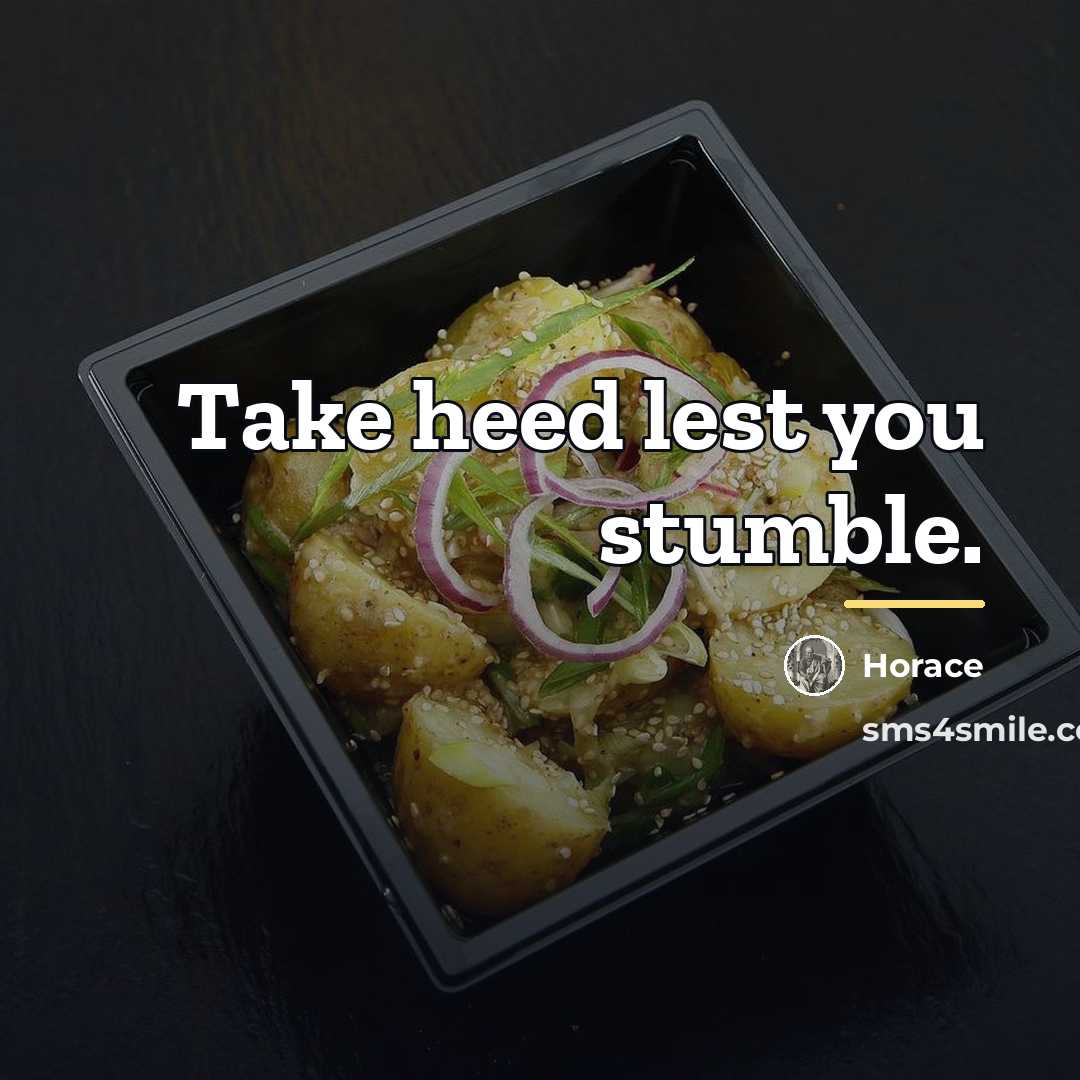 “Take heed lest you stumble.…” quote by Horace