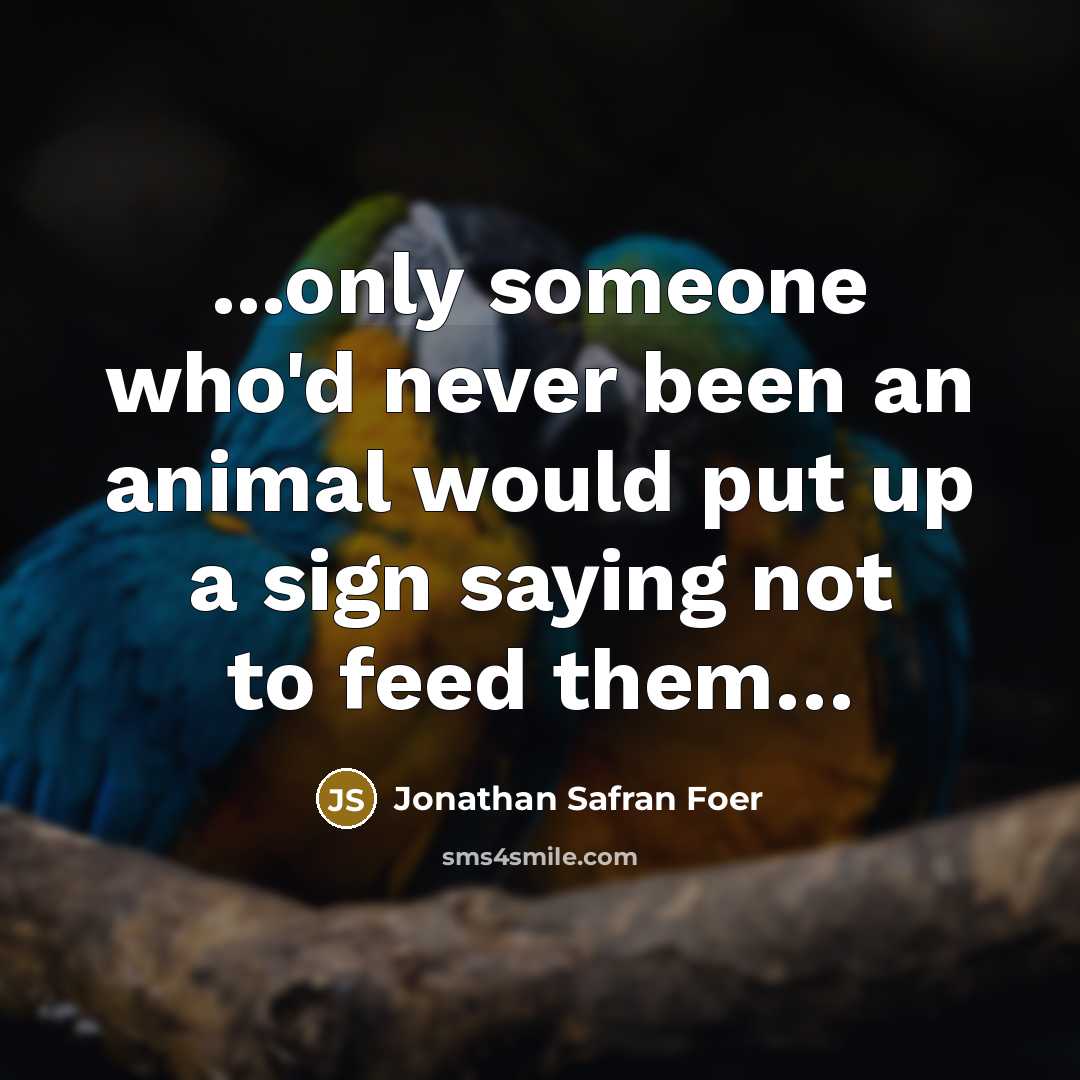“...only someone who'd never been an animal would put up…” quote by Jonathan Safran Foer