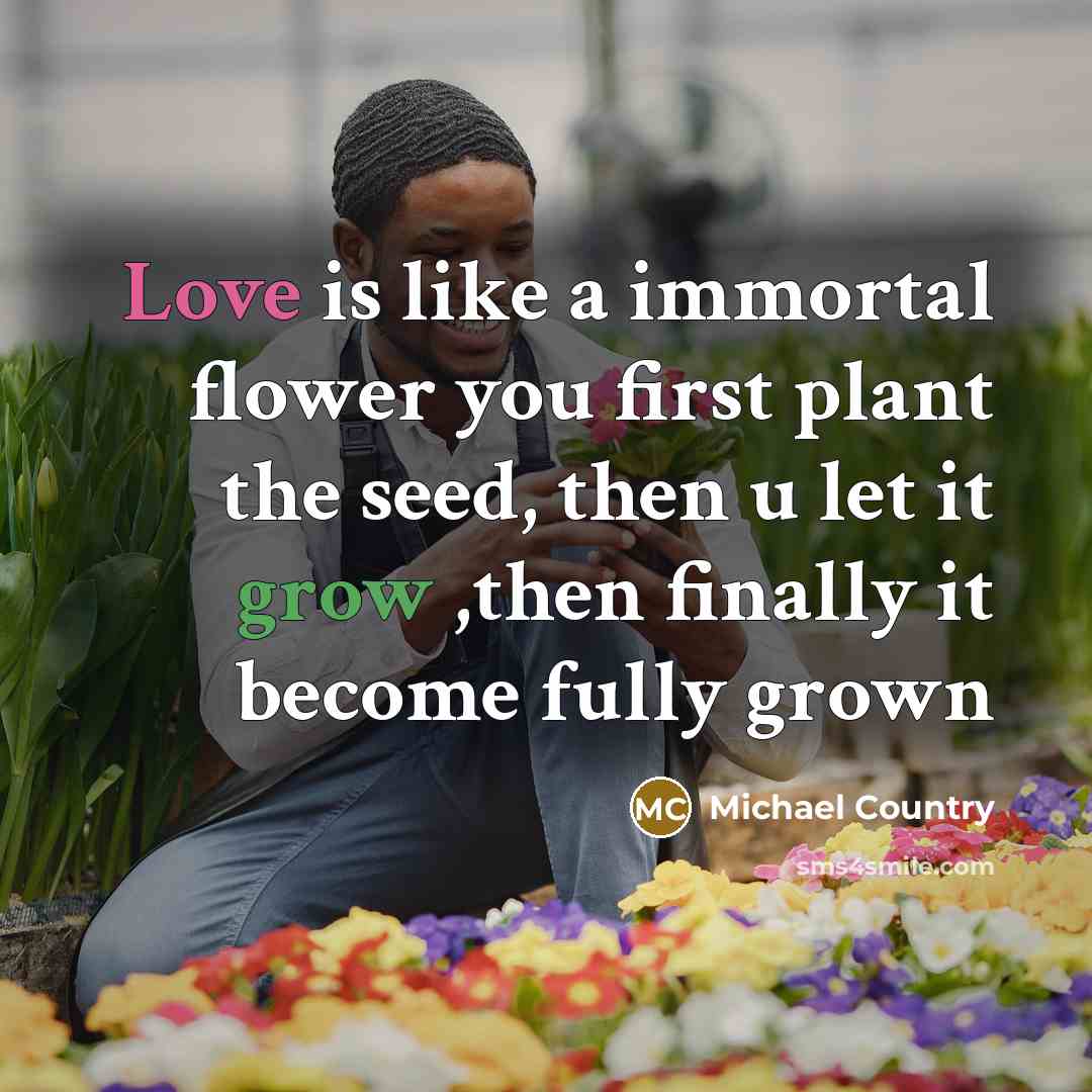 “Love is like a immortal flower you first plant the…” quote by Michael Country