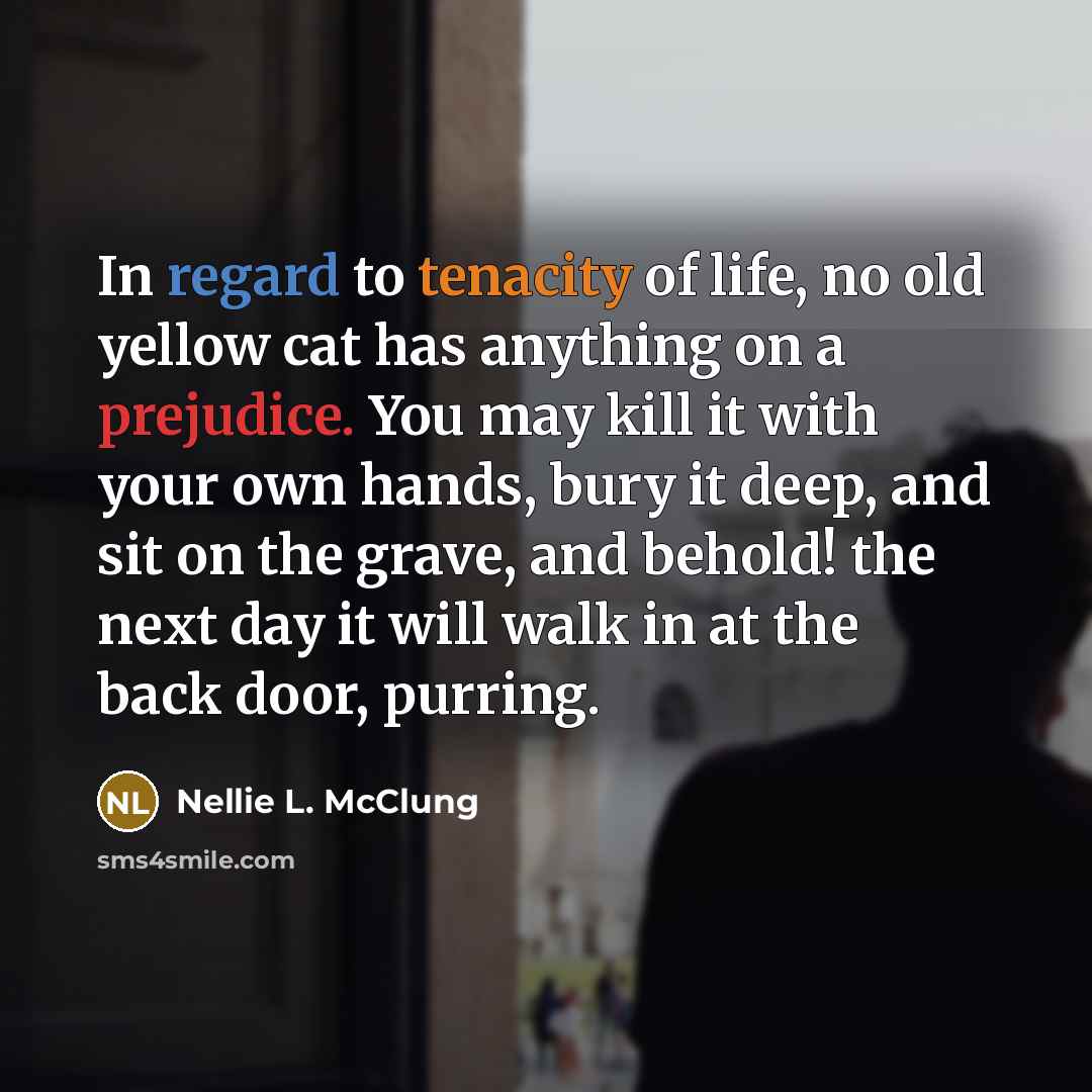 “In regard to tenacity of life, no old yellow cat…” quote by Nellie L. McClung