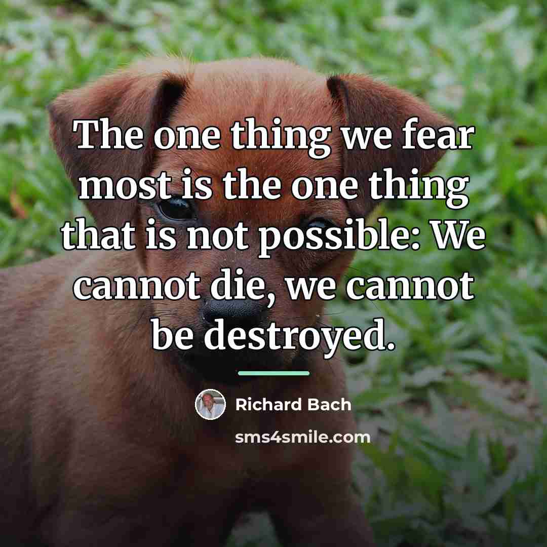 “The one thing we fear most is the one thing…” quote by Richard Bach