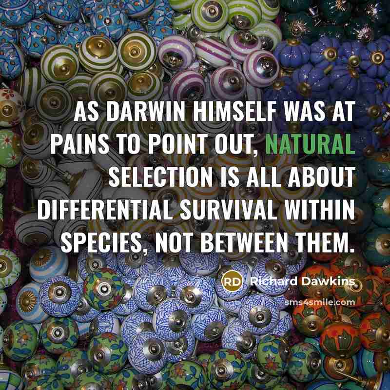 “As Darwin himself was at pains to point out, natural…” quote by Richard Dawkins