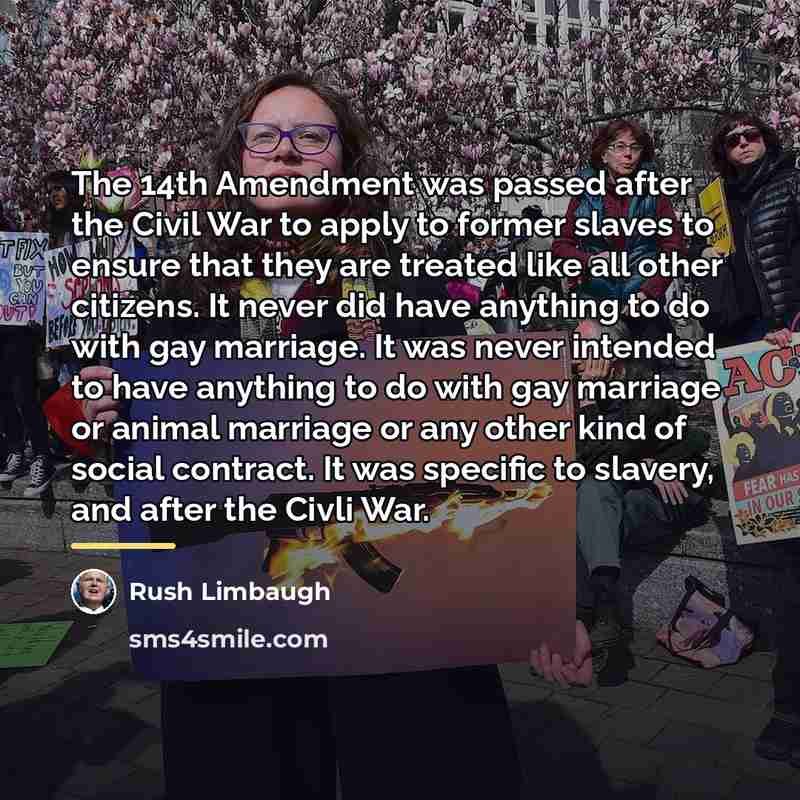 “The 14th Amendment was passed after the Civil War to…” quote by Rush Limbaugh