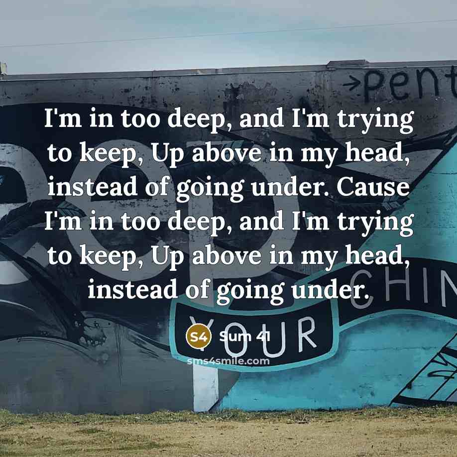 “I'm in too deep, and I'm trying to keep, Up…” quote by Sum 41