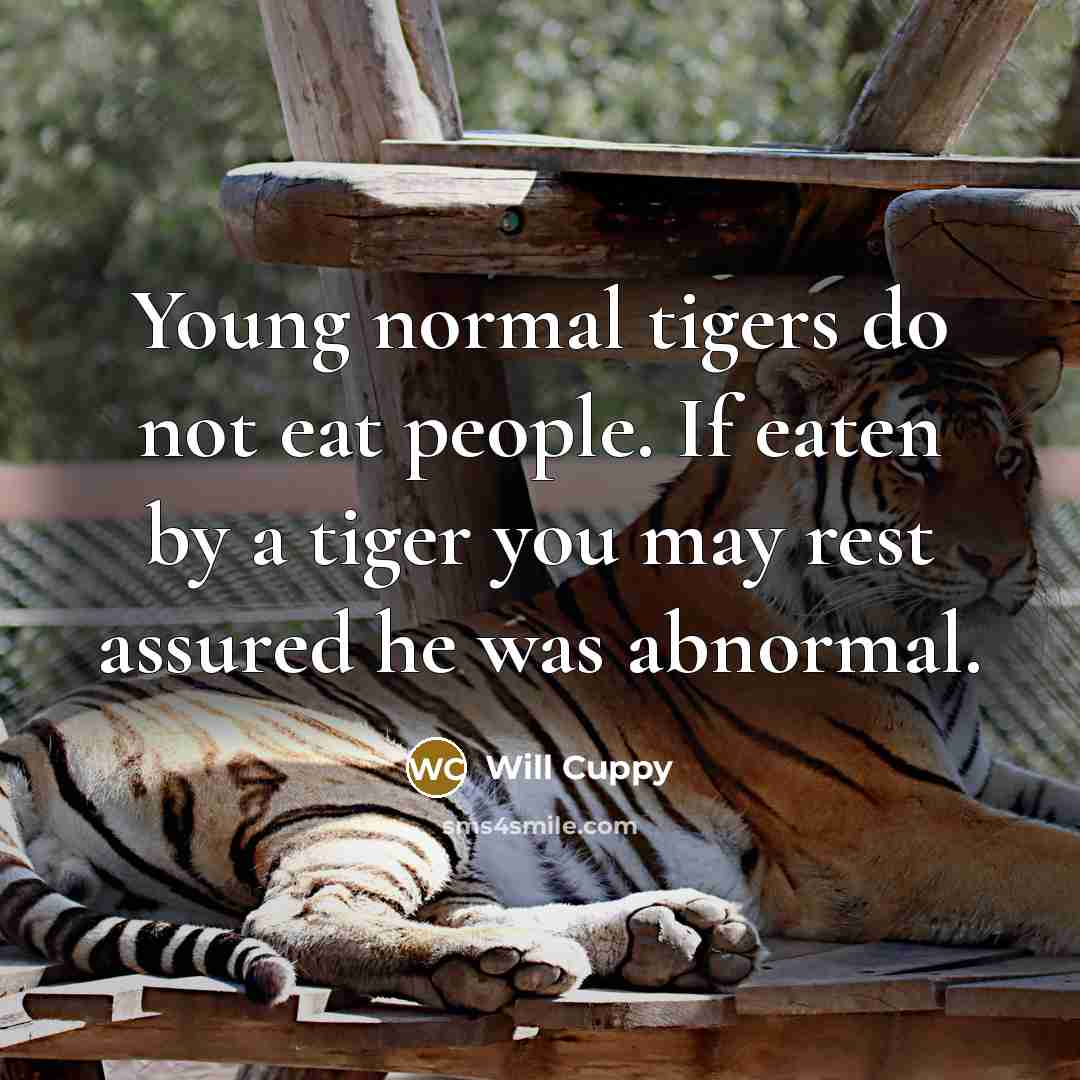 “Young normal tigers do not eat people. If eaten by…” quote by Will Cuppy