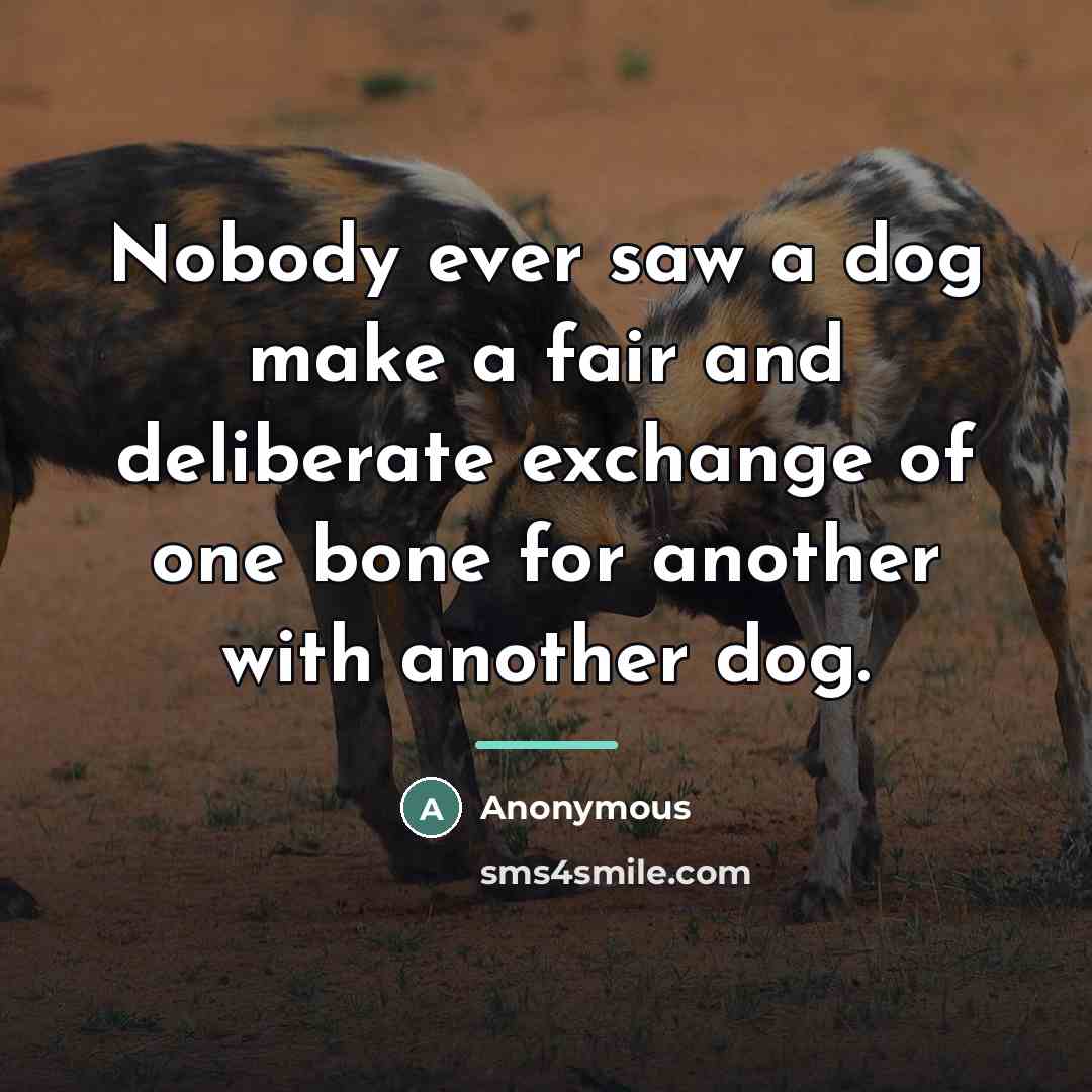 “Nobody ever saw a dog make a fair and deliberate…” quote by Anonymous