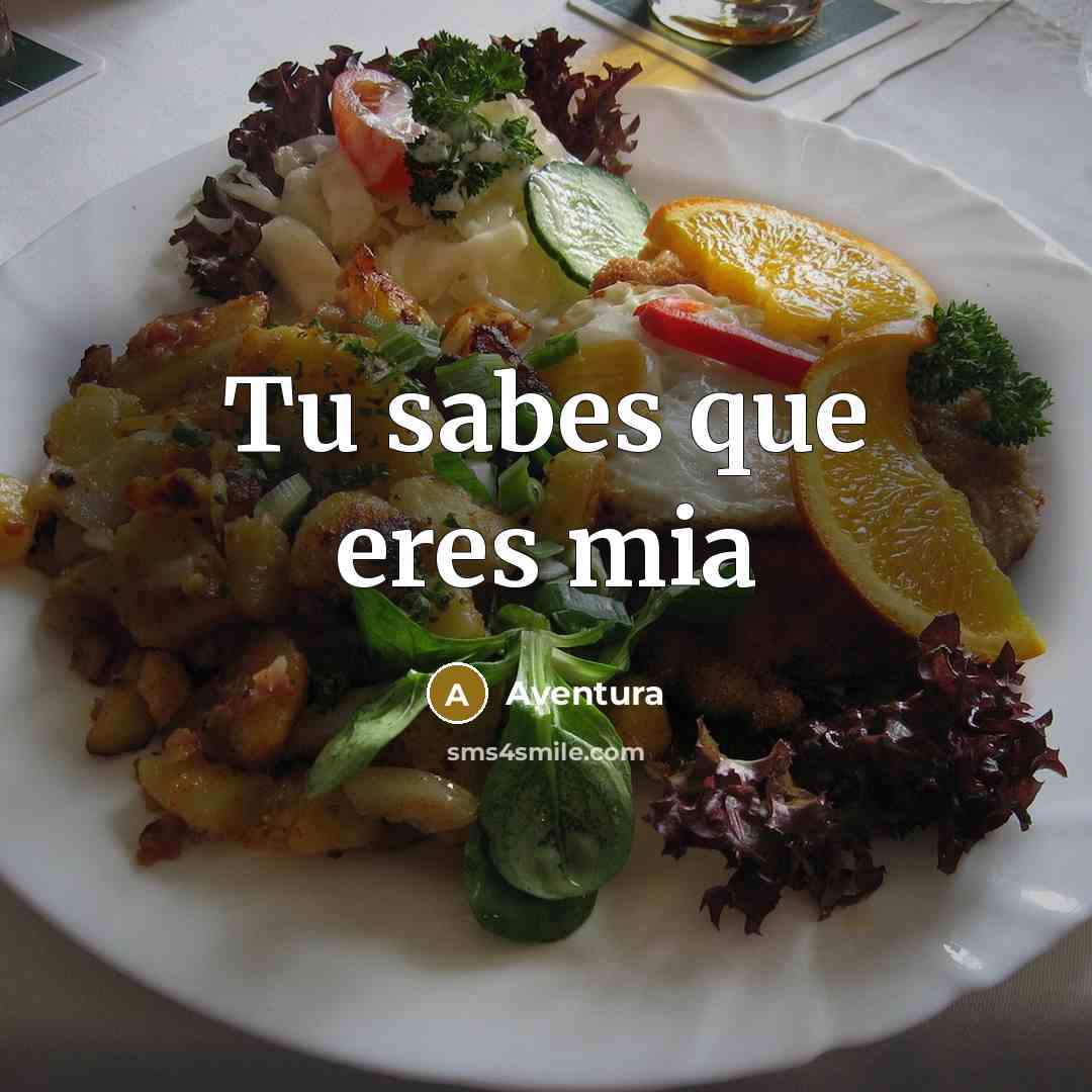 “Tu sabes que eres mia” quote by Aventura