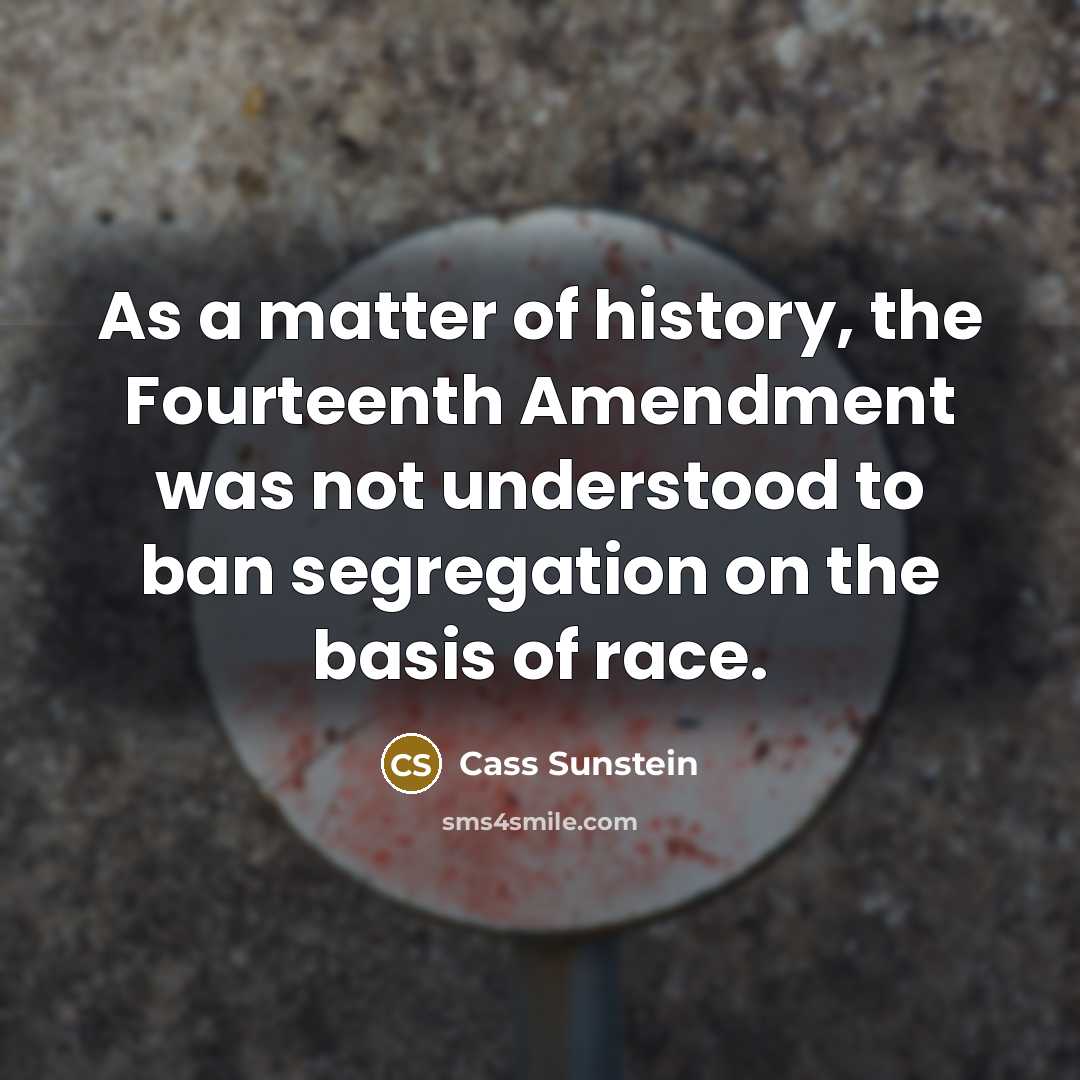 “As a matter of history, the Fourteenth Amendment was not…” quote by Cass Sunstein