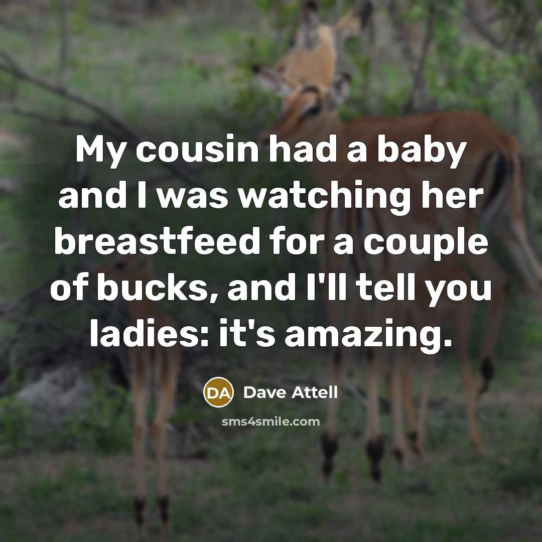 “My cousin had a baby and I was watching her…” quote by Dave Attell