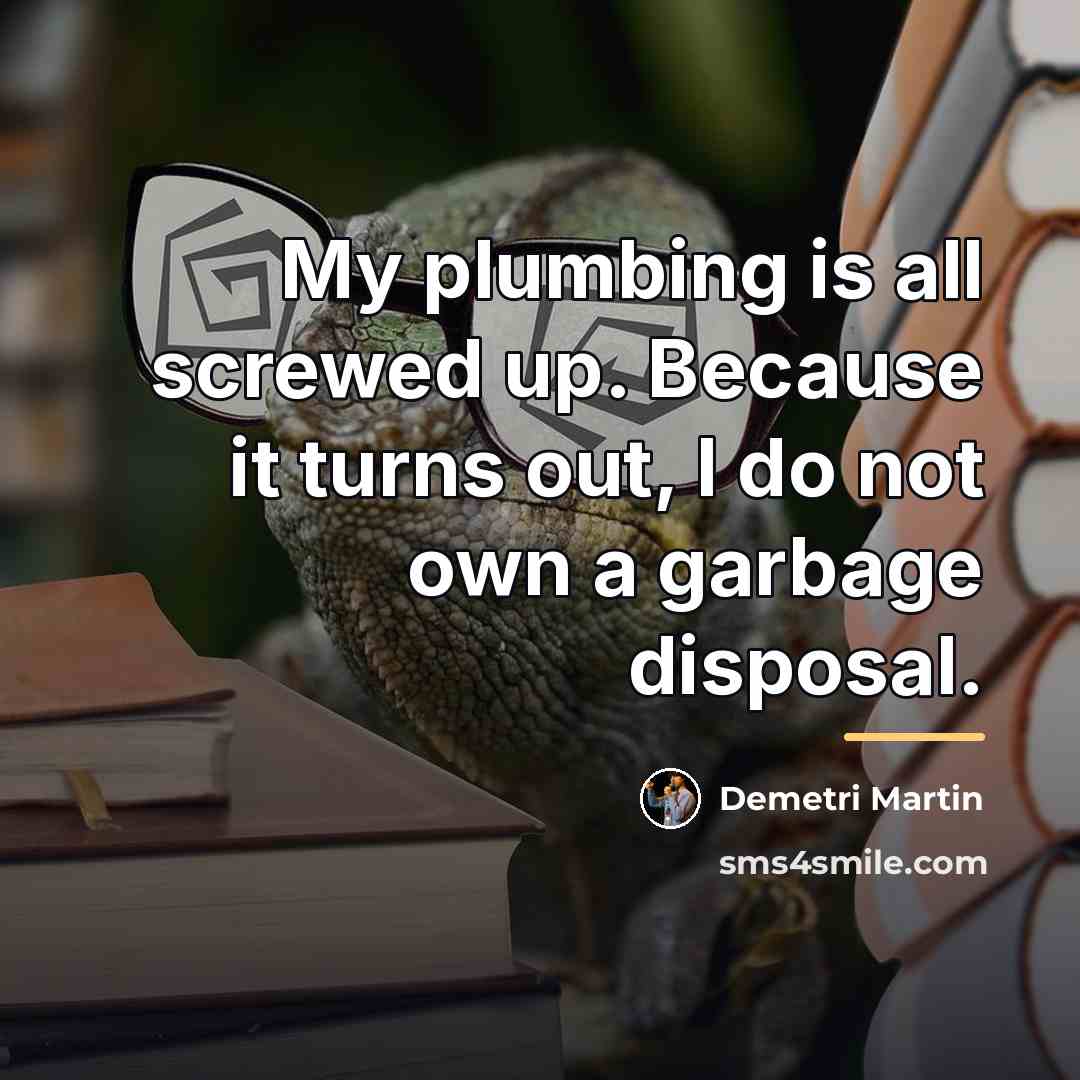 “My plumbing is all screwed up. Because it turns out,…” quote by Demetri Martin