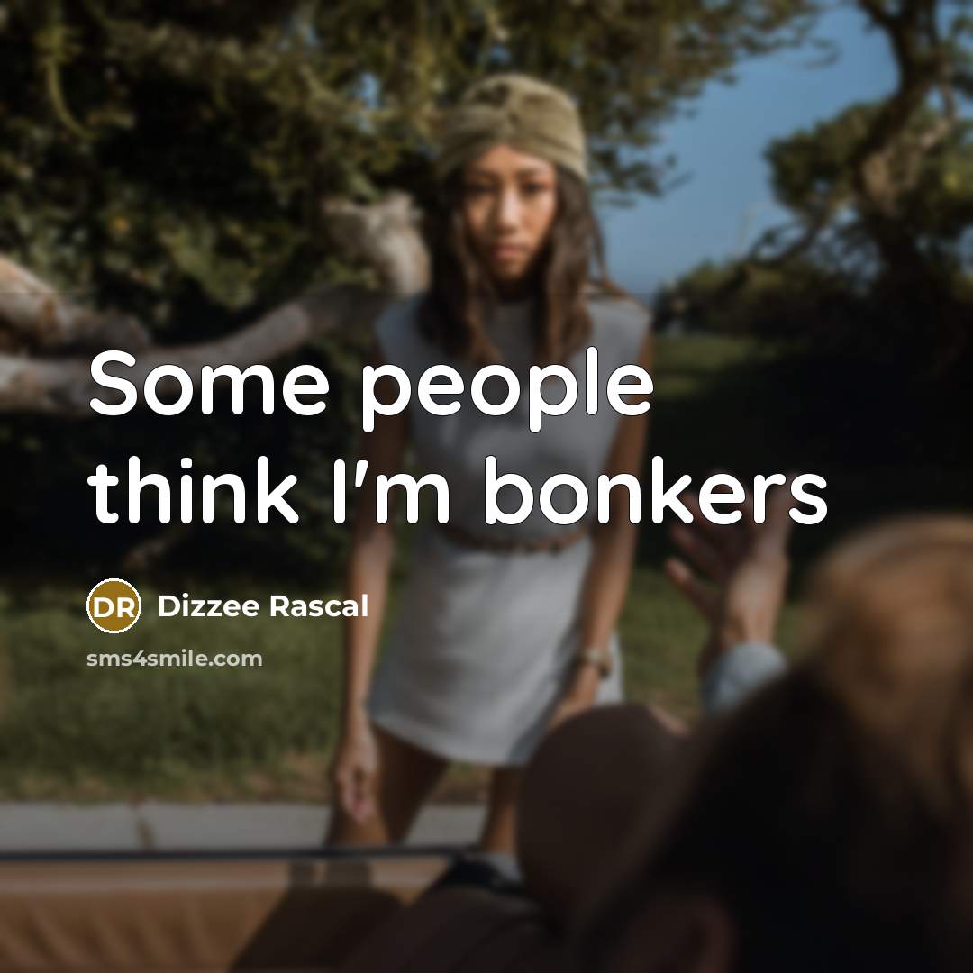 “Some people think I'm bonkers” quote by Dizzee Rascal