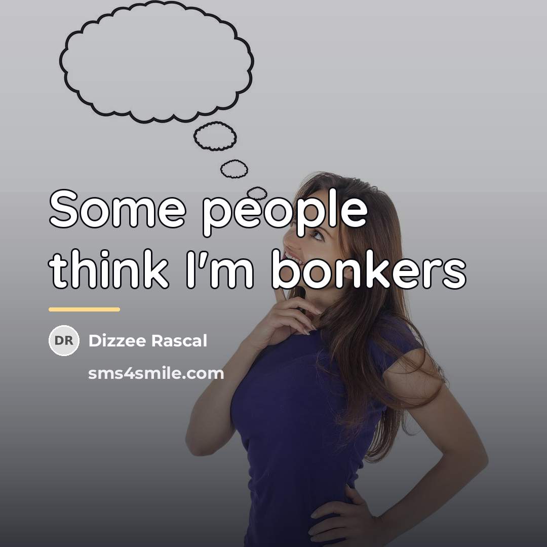 “Some people think I'm bonkers…” quote by Dizzee Rascal