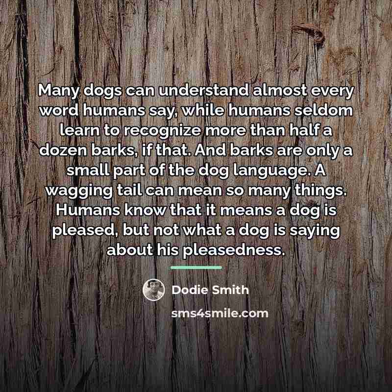 “Many dogs can understand almost every word humans say, while…” quote by Dodie Smith