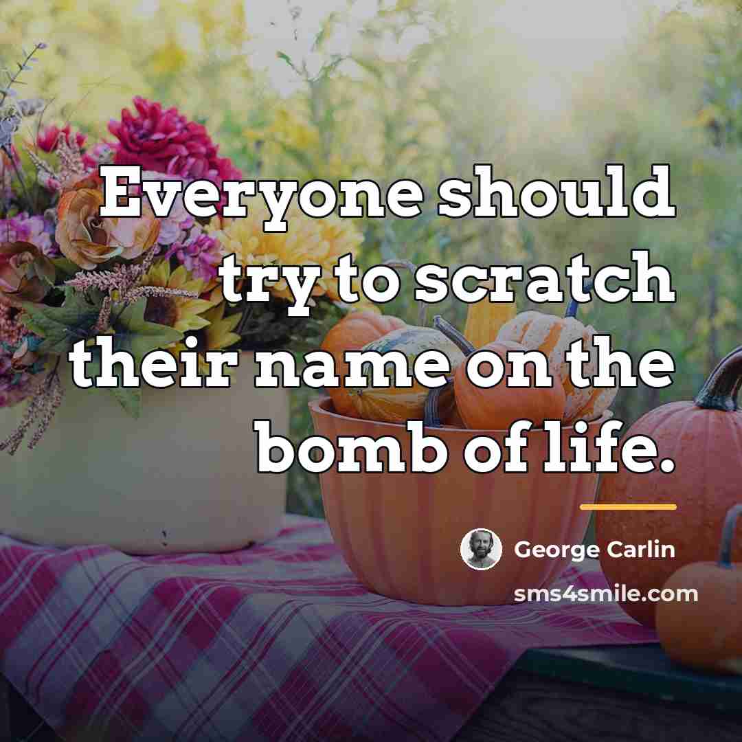 “Everyone should try to scratch their name on the bomb…” quote by George Carlin