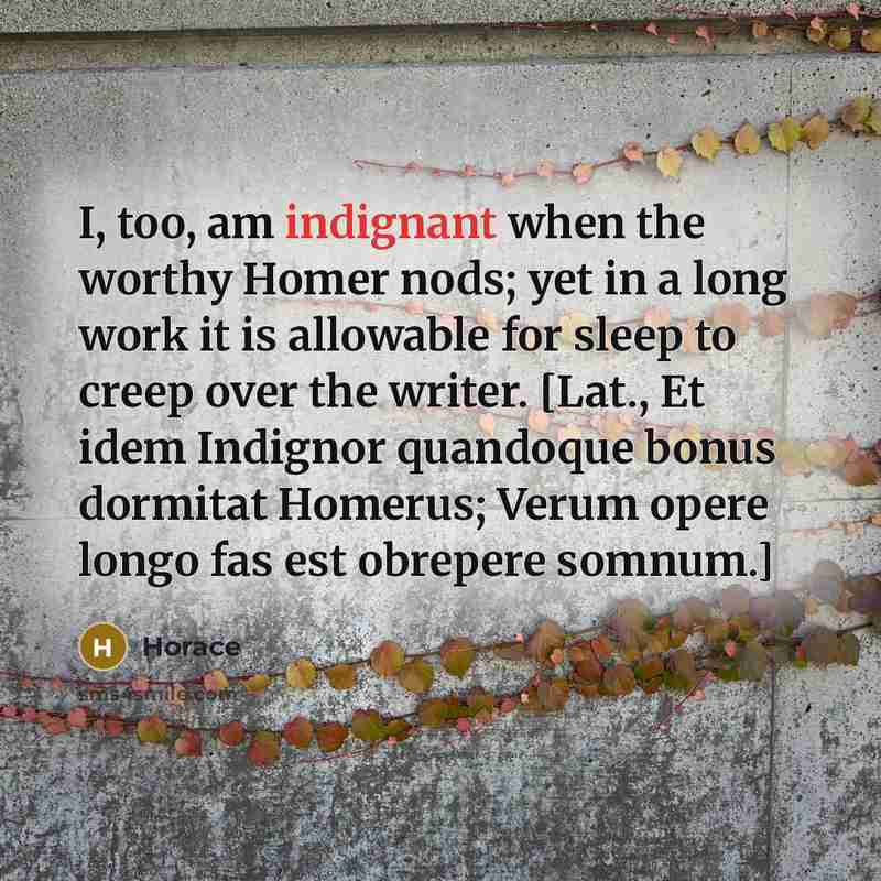 “I, too, am indignant when the worthy Homer nods; yet…” quote by Horace