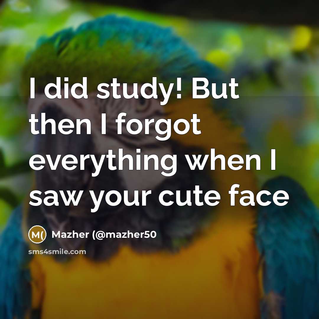 “I did study! But then I forgot everything when I…” quote by Mazher (@mazher50