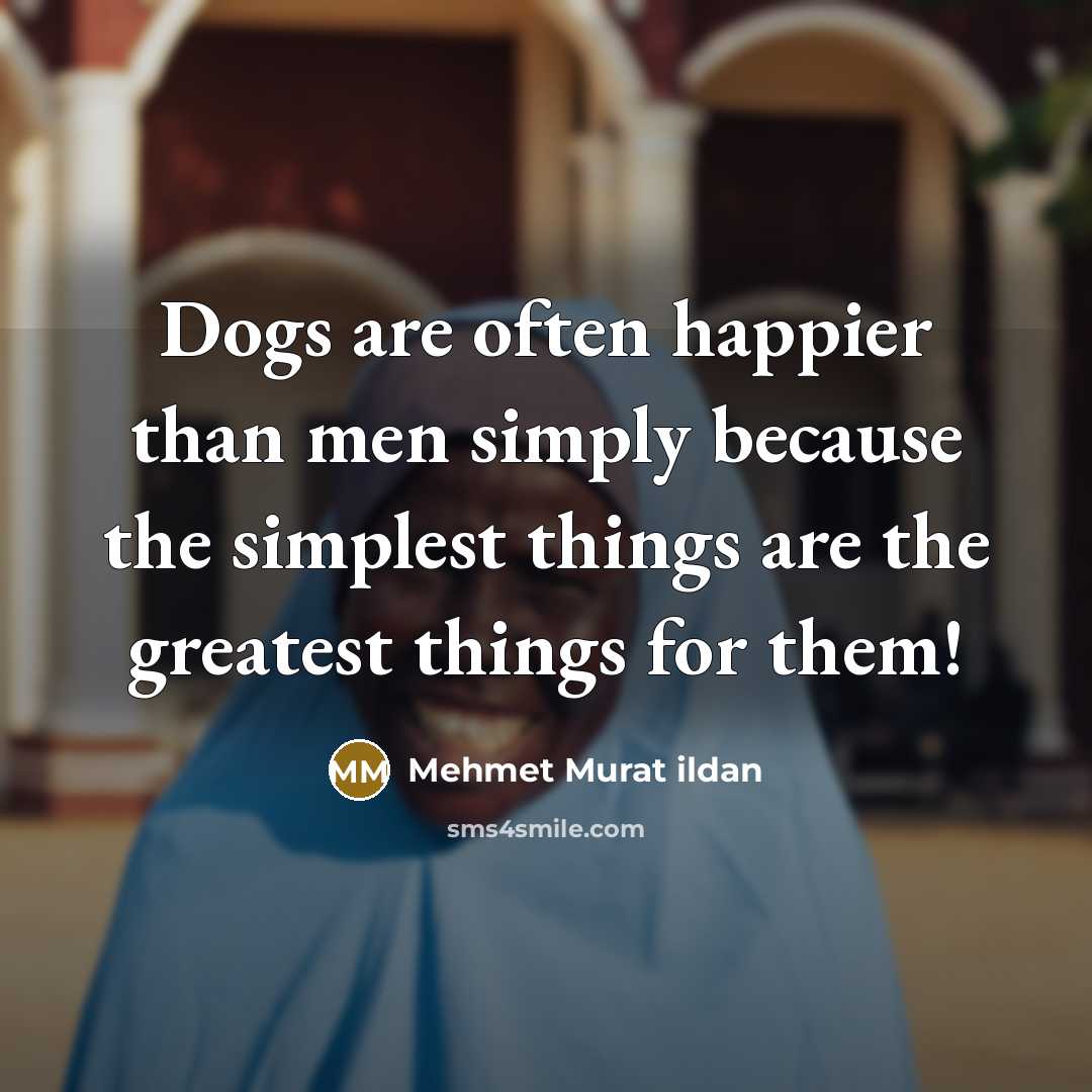 “Dogs are often happier than men simply because the simplest…” quote by Mehmet Murat Ildan
